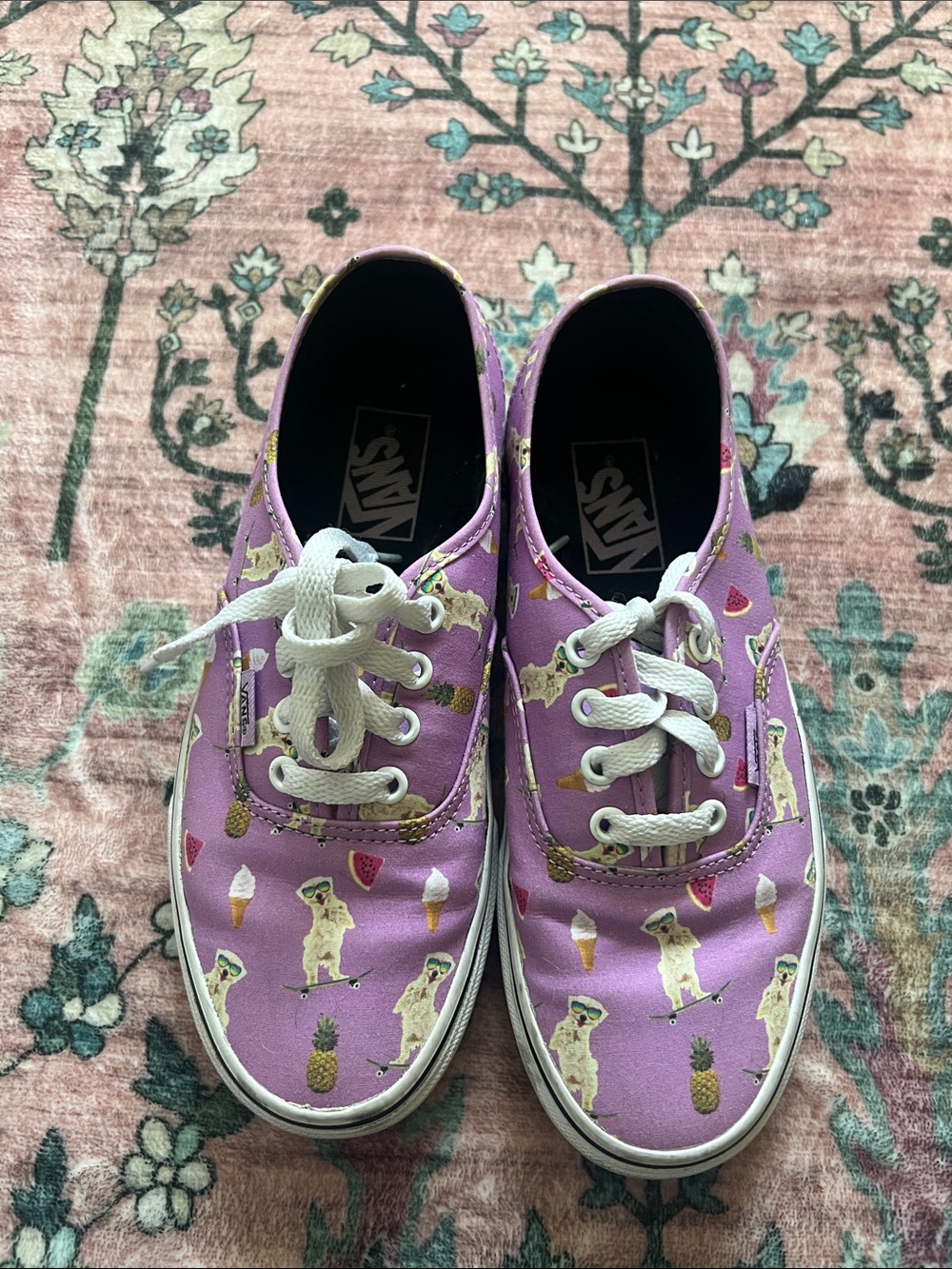 Vans Pool Vibes Dog African Violet Skateboard Shoes
